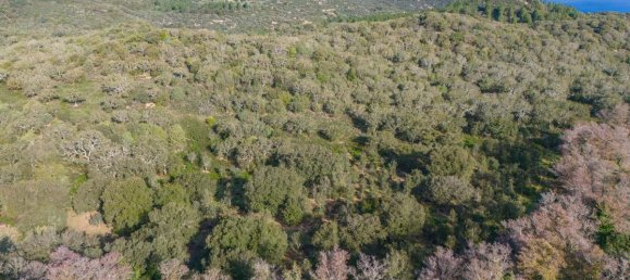 Terreno en San Teodoro, Italy 350000 m² No. 147384 8