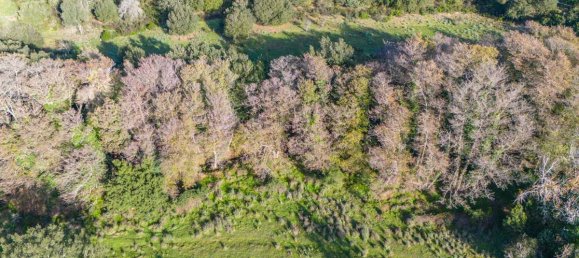 Terreno en San Teodoro, Italy 350000 m² No. 147384 12