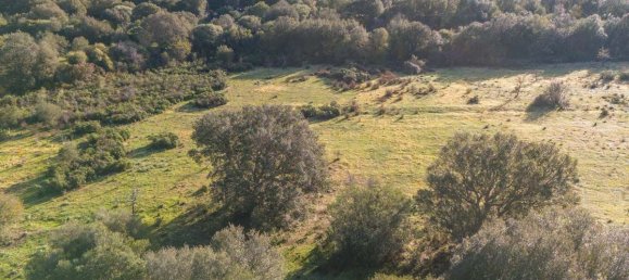 Terreno en San Teodoro, Italy 350000 m² No. 147384 14