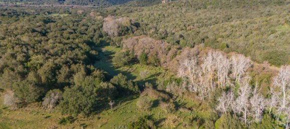 Terreno en San Teodoro, Italy 350000 m² No. 147384 5