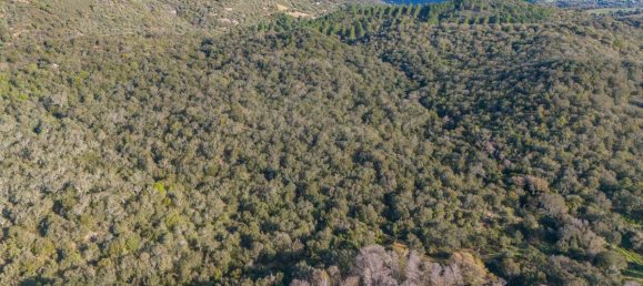 Terreno en San Teodoro, Italy 350000 m² No. 147384 19