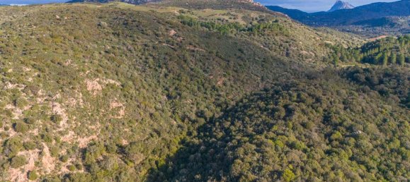 Terreno en San Teodoro, Italy 350000 m² No. 147384 3