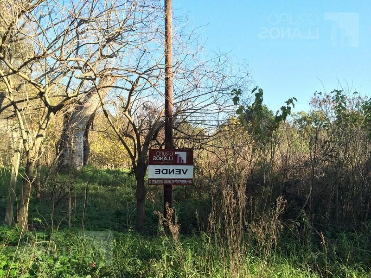  Land in San Isidro, Argentina No. 114925