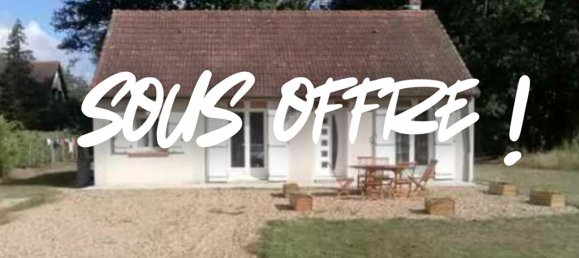 2 bedrooms House in Neuvy-en-Sullias, France No. 65531 9