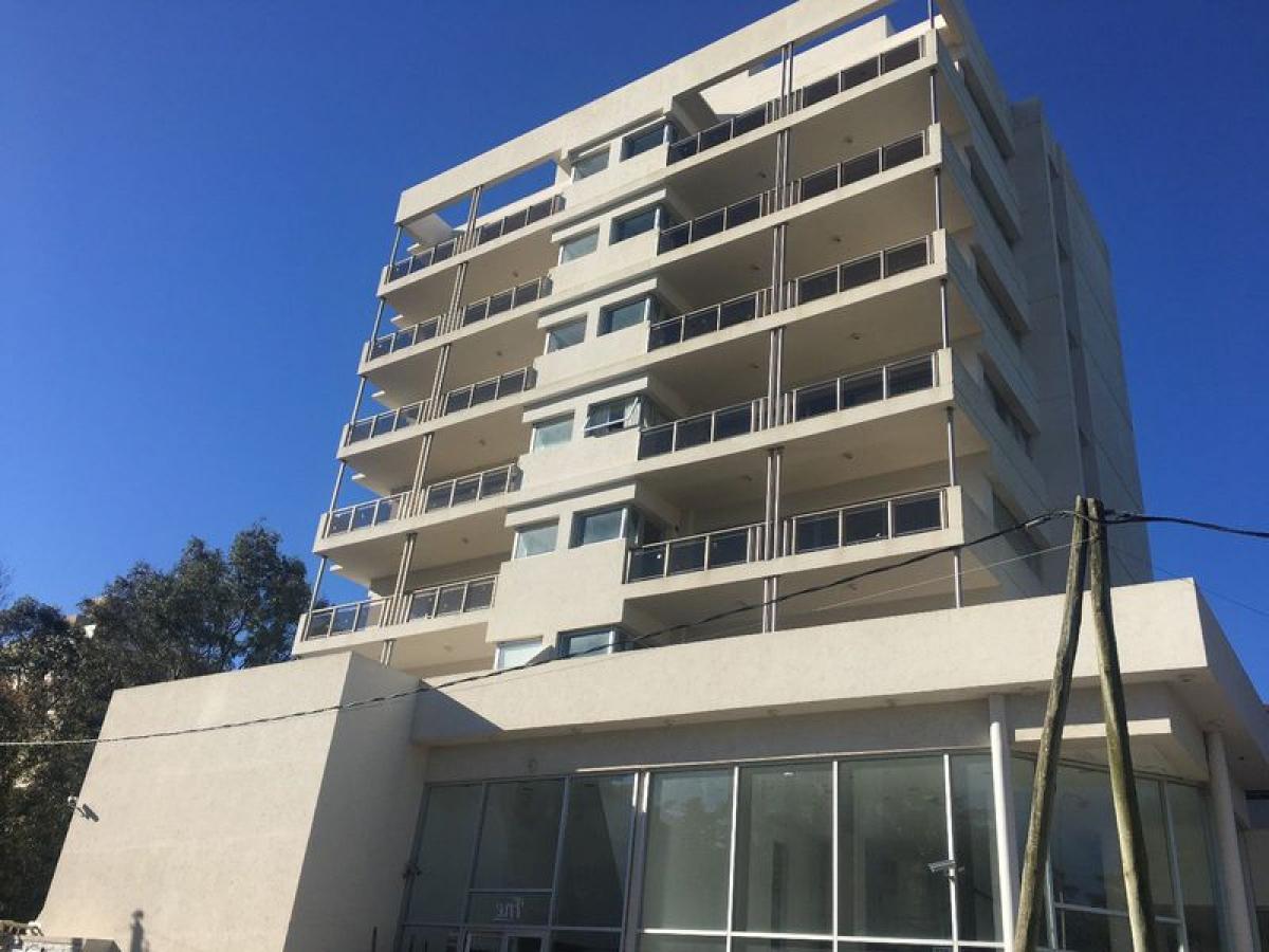 استوديو في Mar del Plata, Argentina رقم 76686