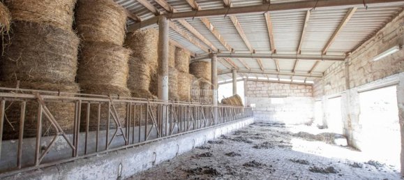 8 Schlafzimmer Finca in Ferreries, Spain, Nr. 1482 8