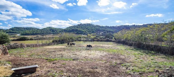 8 Schlafzimmer Finca in Ferreries, Spain, Nr. 1482 5