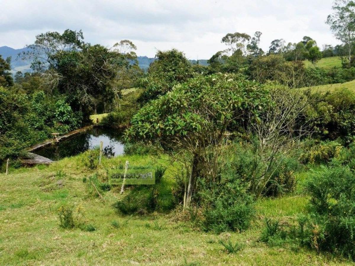 Grundstück in Antioquia, Colombia, Nr. 726