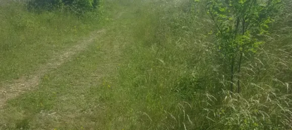 Terreno em Hagenbrunn, Austria 10433 m² N.º 194071 10