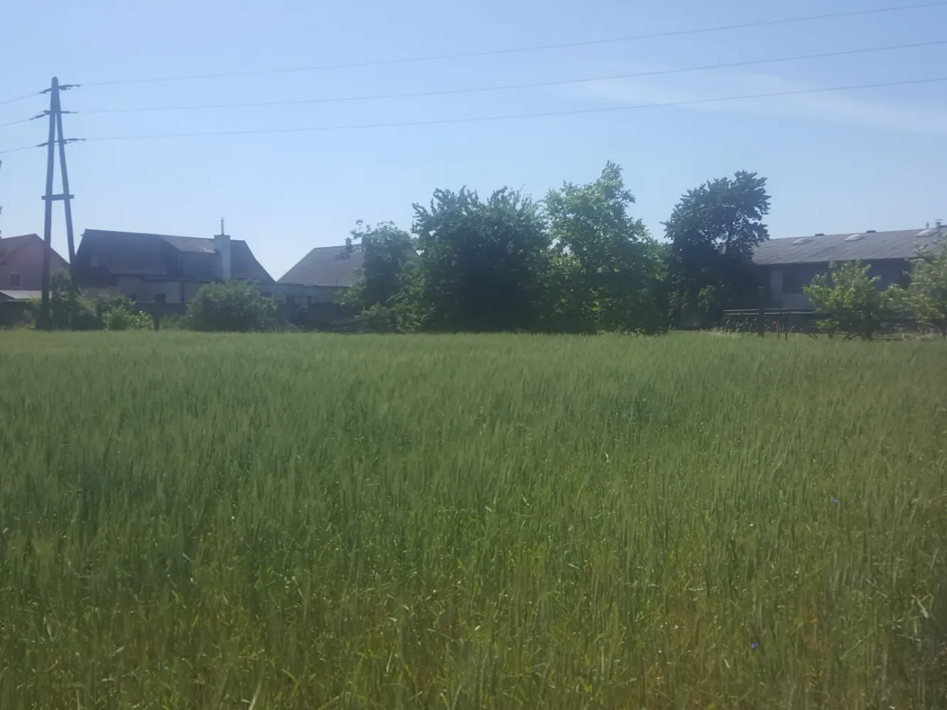 Terreno em Hagenbrunn, Austria 10433 m² N.º 194071