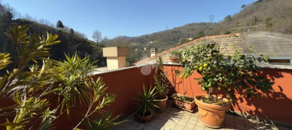 5 rooms Apartment in Genoa, Italy No. 37350 4