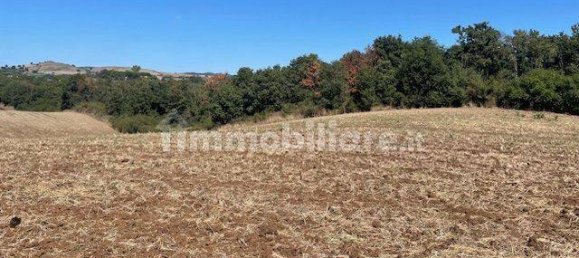 Grundstück in Rome, Italy 540000m², Nr. 328333 11