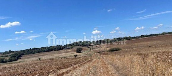 Grundstück in Rome, Italy 540000m², Nr. 328333 5