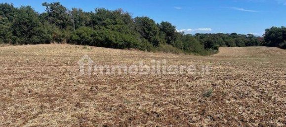 Grundstück in Rome, Italy 540000m², Nr. 328333 10