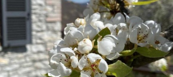 Propiedad comercial de 4 dormitorios en Farini, Italy No. 267255 7