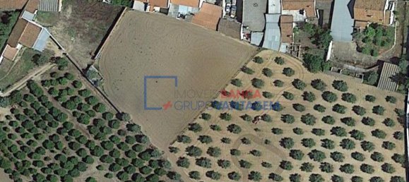 265m² Commercial property in Vila de Frades, Portugal No. 32844 10