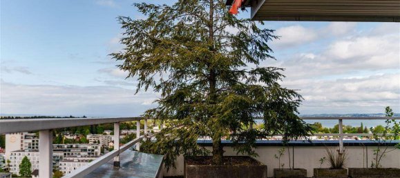 3 chambres Penthouse à Bregenz, Austria No. 144376 5