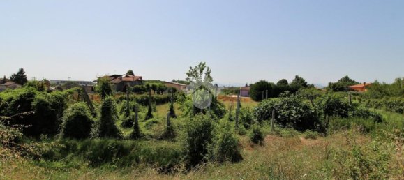 Земельный участок с 1 комнатой в Гаттео, Италия № 204871 8