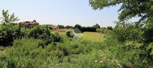 Земельный участок с 1 комнатой в Гаттео, Италия № 204871 7