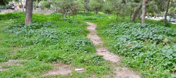 1085m² Hotel in Agios Dimitrios, Greece No. 6831 3