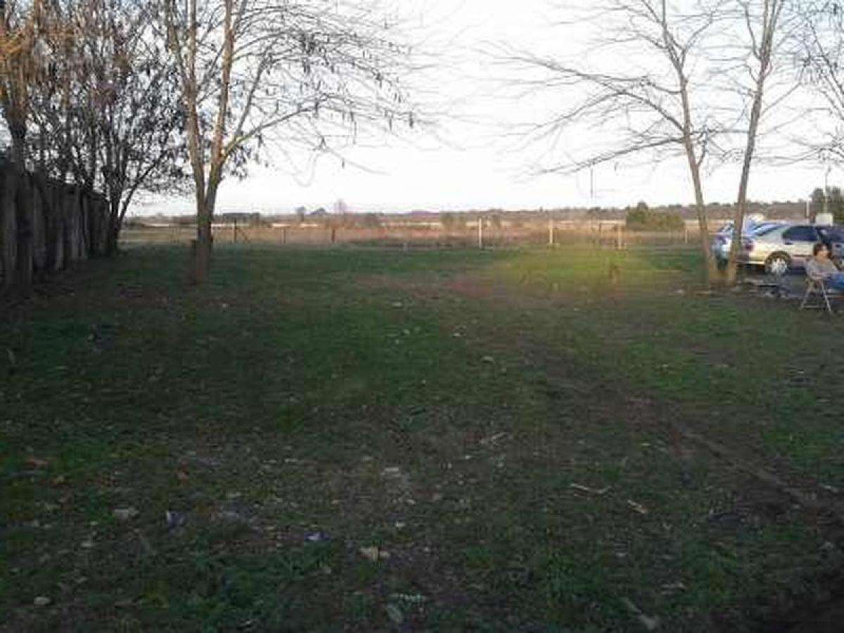 Terrain à Pilar, Argentina No. 43197