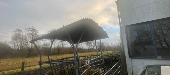 Almacén de 5 habitaciónes en Minden-Lubbecke, Germany No. 372113 7