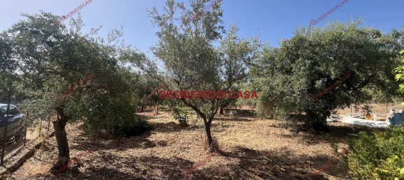 Grundstück in Casteldaccia, Italy, Nr. 313123 8