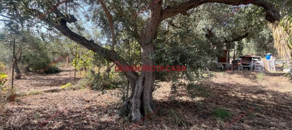 Grundstück in Casteldaccia, Italy, Nr. 313123 5