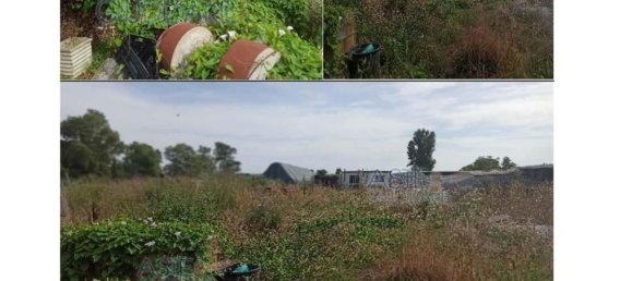 5 Schlafzimmer Wohnung in Sezze, Italy, Nr. 360050 11