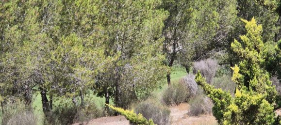 2 Schlafzimmer Wohnung in Molina de Segura, Spain, Nr. 164255 5