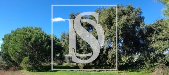 10980m² Land in Vendas Novas, Portugal No. 198395 5