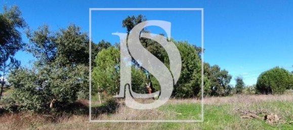 10980m² Land in Vendas Novas, Portugal No. 198395 7