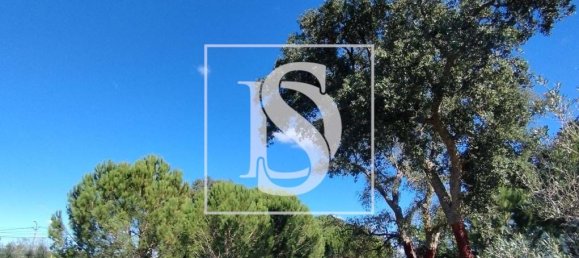 10980m² Land in Vendas Novas, Portugal No. 198395 8