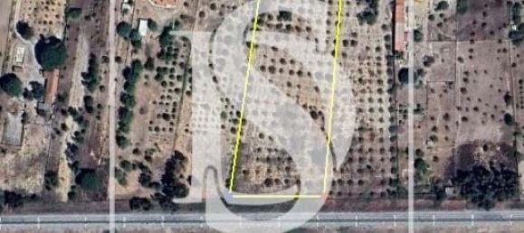 10980m² Land in Vendas Novas, Portugal No. 198395 2