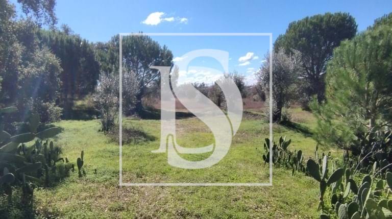 10980m² Land in Vendas Novas, Portugal No. 198395