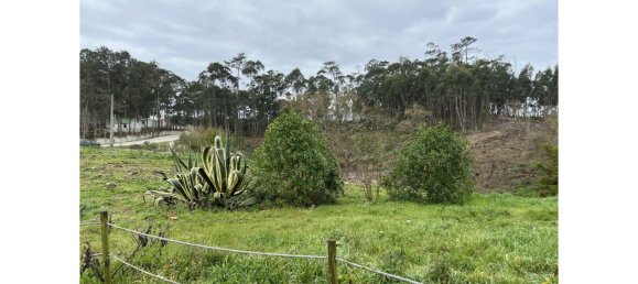 Villa de 3 dormitorios en Foz do Arelho, Portugal No. 116918 46