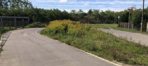  قطعة أرض في Leipzig, Germany رقم 346881 11