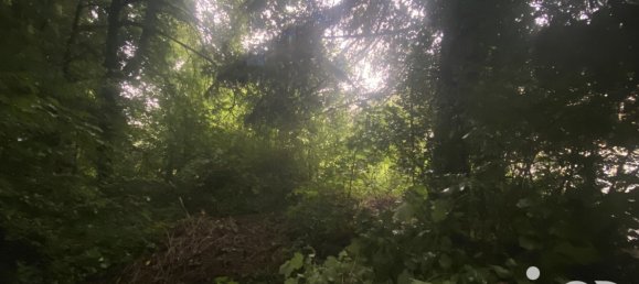 Grundstück in Algrange, France, Nr. 331160 5