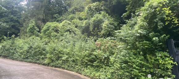 Grundstück in Algrange, France, Nr. 331160 4