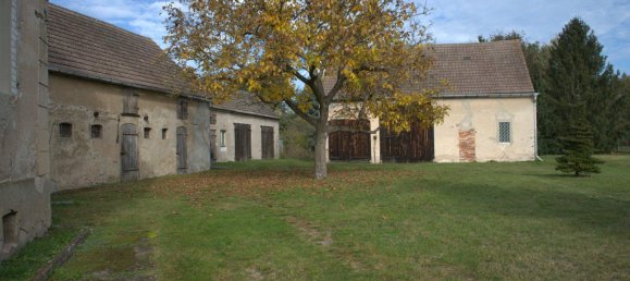 4 bedrooms Villa in Elbe-Elster, Germany No. 18343 3