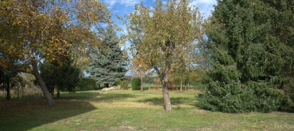 4 bedrooms Villa in Elbe-Elster, Germany No. 18343 5