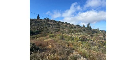 1 bedroom House in Fasnia, Spain No. 151978 22