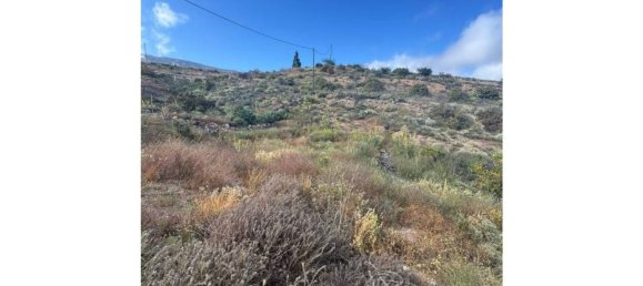 1 bedroom House in Fasnia, Spain No. 151978 14