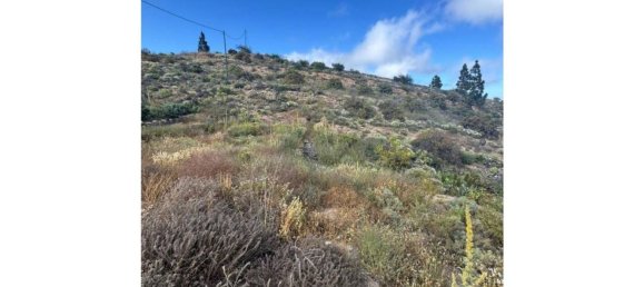 1 bedroom House in Fasnia, Spain No. 151978 17