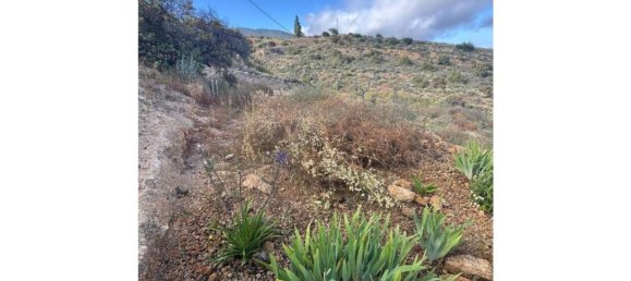 1 bedroom House in Fasnia, Spain No. 151978 8