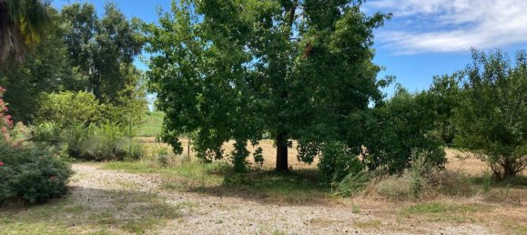 3 bedrooms House in Papozze, Italy No. 309515 28