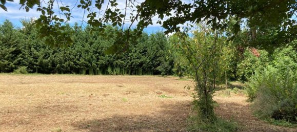 3 bedrooms House in Papozze, Italy No. 309515 27