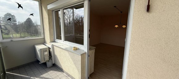 3 rooms Apartment in Eggenberg, Austria No. 151883 10