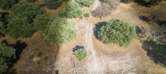 3058m² Land in Maello, Spain No. 138771 6