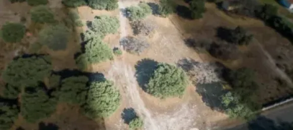 3058m² Land in Maello, Spain No. 138771 7